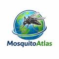 Logo Mosquito Atlas